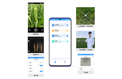 汉中市小麦亩穗数分析仪IN-XM02